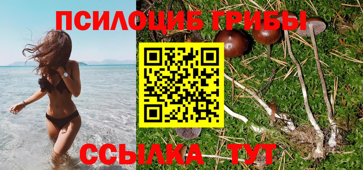 Рассказово  купить наркоту  Вход с VPN  Галлюциногенные грибы Cubensis 